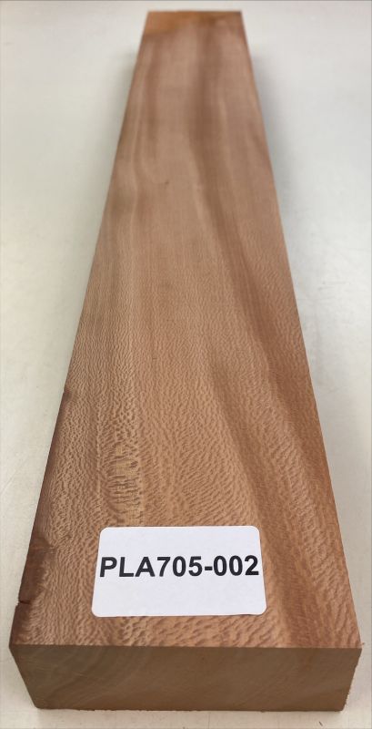 Neck Platane europ., 720x108x49mm Unique Piece #002